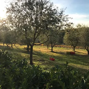 Il Villino Holiday home